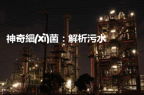 神奇細(xì)菌：解析污水中的隱患，拯救環(huán)境之道！